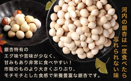 北九州河内の銀杏 200g