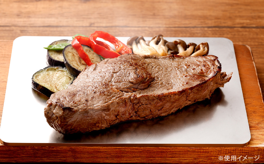 CGK ただの鉄板 ステンレス A5サイズ 21cm×14.8cm 厚み 4.0mm アウトドア