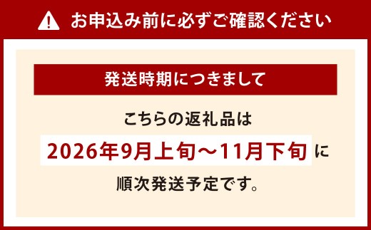 【秋限定】無着色昆布漬めんたい『秋仕込み』 360g