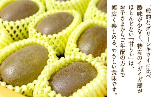 福岡県産 博多甘うぃ 約1.4kg（大玉9玉入り）