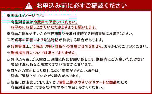 国産ブルーベリー 福岡県産 牧村農園