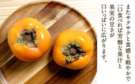 福岡県産 博多秋王【優等品】 約3.5kg以上（8玉～12玉入り）