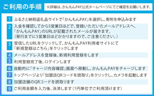 かんもんPAY 16,500円分