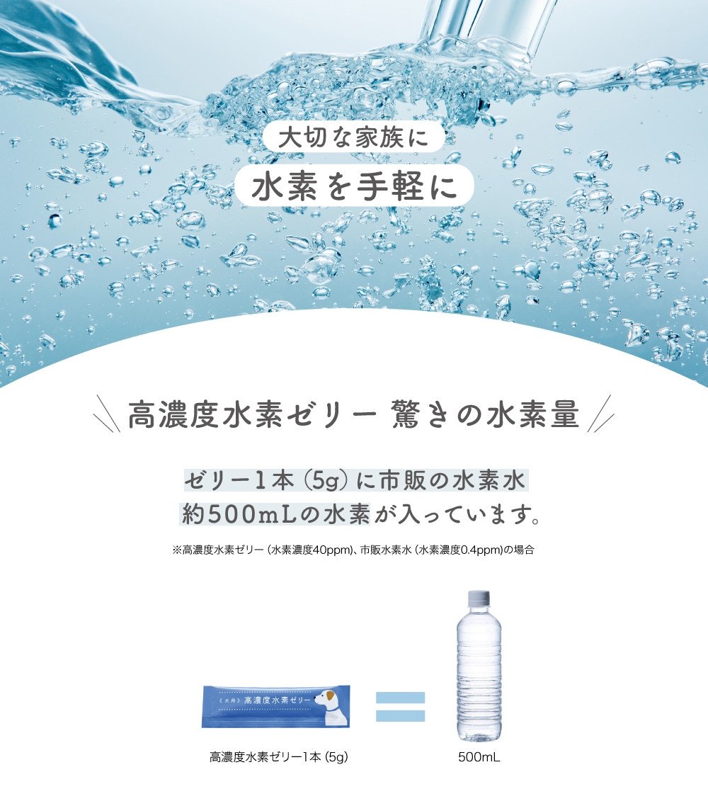高濃度 水素 ゼリー 犬用 31本 入り ご飯 ごはん おやつ トッピング 持ち運び 携帯 散歩 ペット 犬