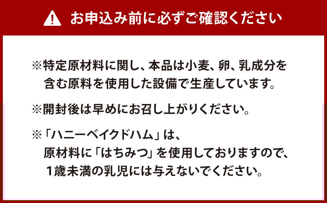 九州 ハムギフト 5本 セット KKE-40 合計919g