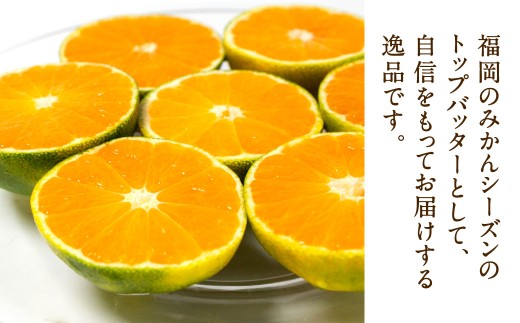 福岡県産 早味かん 約4kg以上 （40玉～50玉入り） M・Sサイズ