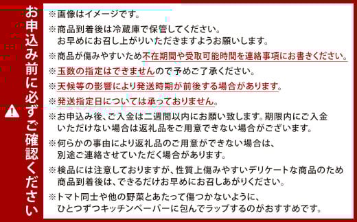 福岡県北九州市若松区産 若松濃縮トマト 約2.4kg 【1.2kg箱（15玉～30玉入り）×2箱】