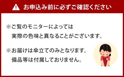 置くだけで美しい。 アイアン傘立て 艶消しブラック 傘立て 傘立 傘たて アンブレラスタンド 傘 玄関 玄関収納 収納用品 福岡県 北九州市