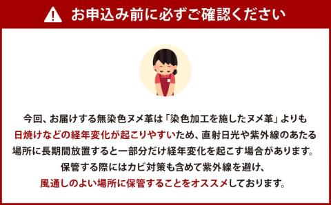 フラップホック の 王道クラシック な レザーポシェット ・ ショルダーバッグ (Mサイズ) レザー ヌメ革 ノンファンデーションレザー ベージュ ショルダーバッグ サコッシュ ポシェット 革製品