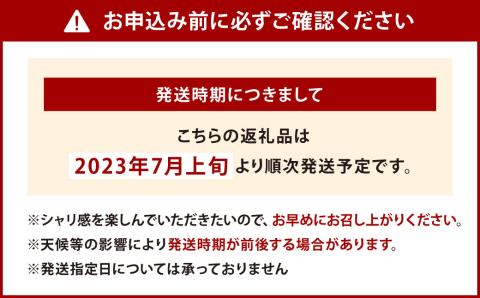 【2023年7月上旬発送開始】 北九州市産 若松クイーン (小玉西瓜) 2玉 (7kg以上) すいか スイカ フルーツ