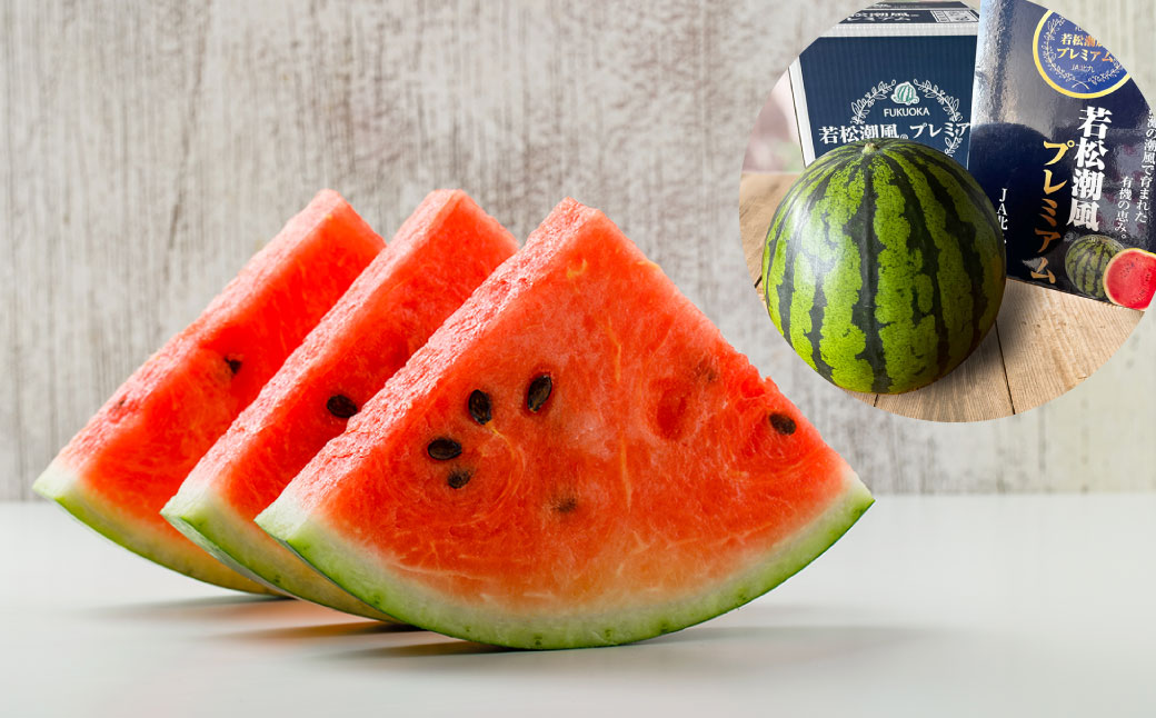 福岡県 北九州市 若松産 【優等品】 潮風プレミアム 西瓜 約7kg（1玉入り）【2026年7月下旬から8月上旬発送予定】すいか スイカ フルーツ 果物 くだもの