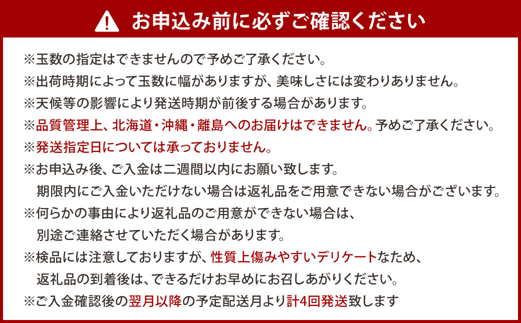 【福岡県産 特産品 年4回定期便】うまもぐ厳選 野菜果物セットA