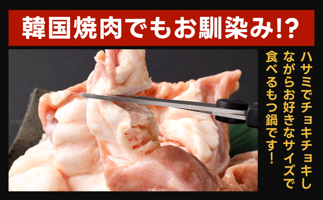 ぶりぶり ホルモン 1本 もつ鍋 厚腸編 1kg入り 新鮮 ホルモン モツ もつ 牛モツ 牛もつ ぷりぷり 黒毛和牛 小腸 腸壁 真空パック もつ鍋 鍋 セット スープ 旨味 あっさり うどん麺 ちゃんぽん麺 国産 九州産 冷凍