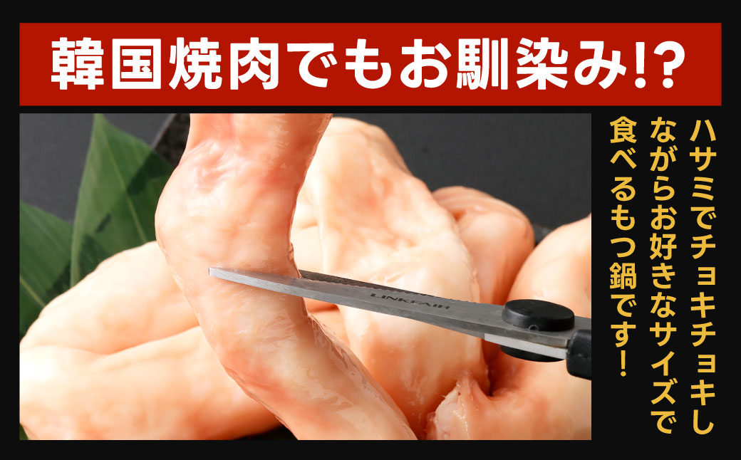 極太 ホルモン 1本 もつ鍋 太腸編 1kg入り 新鮮 ホルモン モツ もつ 牛モツ 牛もつ ぷりぷり 黒毛和牛 丸腸 真空パック もつ鍋 鍋 セット スープ 旨味 あっさり うどん麺 ちゃんぽん麺 国産 九州産 冷凍