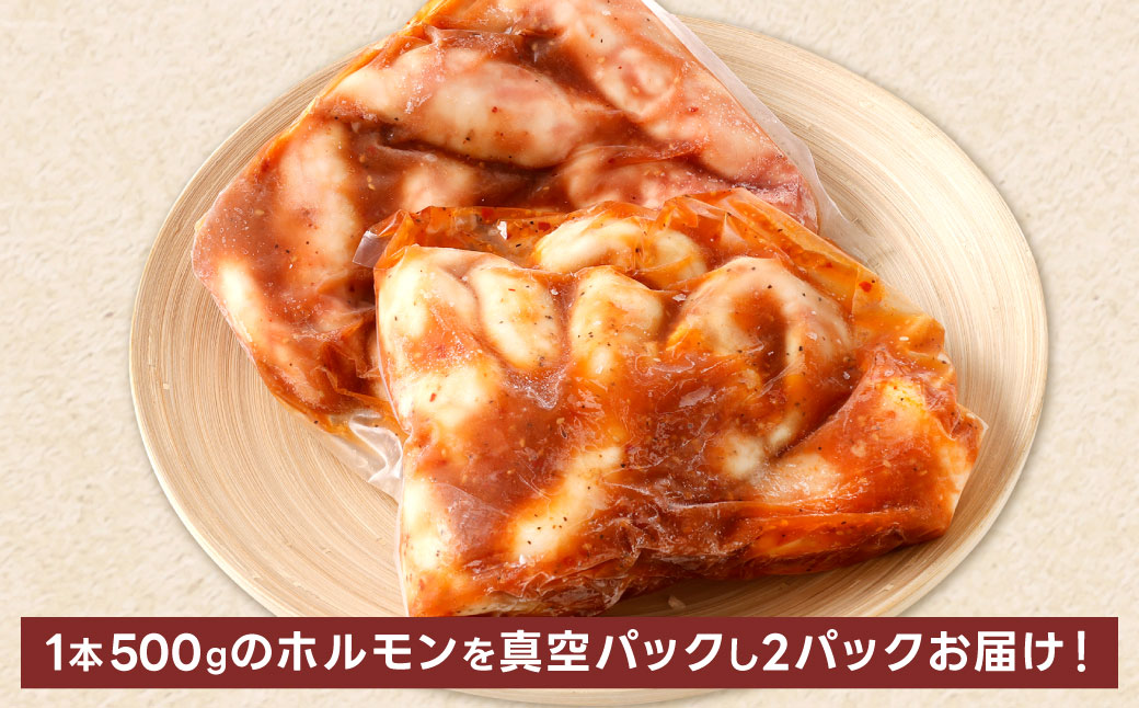 1本焼き たれ漬け 極太 ほるもん 太腸版 新鮮 ホルモン たれ タレ モツ もつ 牛モツ 牛もつ ぷりぷり 旨味 黒毛和牛 丸腸 真空パック 国産 九州産 冷凍