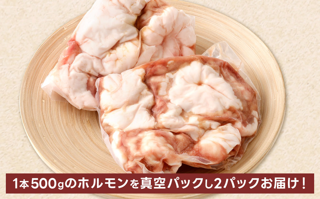 1本焼き 激厚 ホルモン 厚腸版 新鮮 ホルモン 塩ホルモン モツ もつ 牛モツ 牛もつ ぷりぷり 旨味 黒毛和牛 小腸 腸壁 真空パック 国産 九州産 冷凍