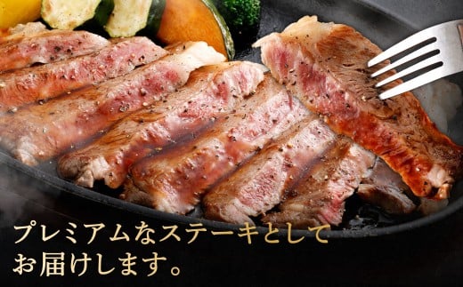 【やまぐち和牛燦】 牛サーロインステーキ 3枚入り 約500g