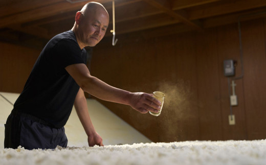 酒粕高濃度水素ゼリー 100本入り ゼリー 水素 酒粕 サプリメント 健康 健康食品 美容