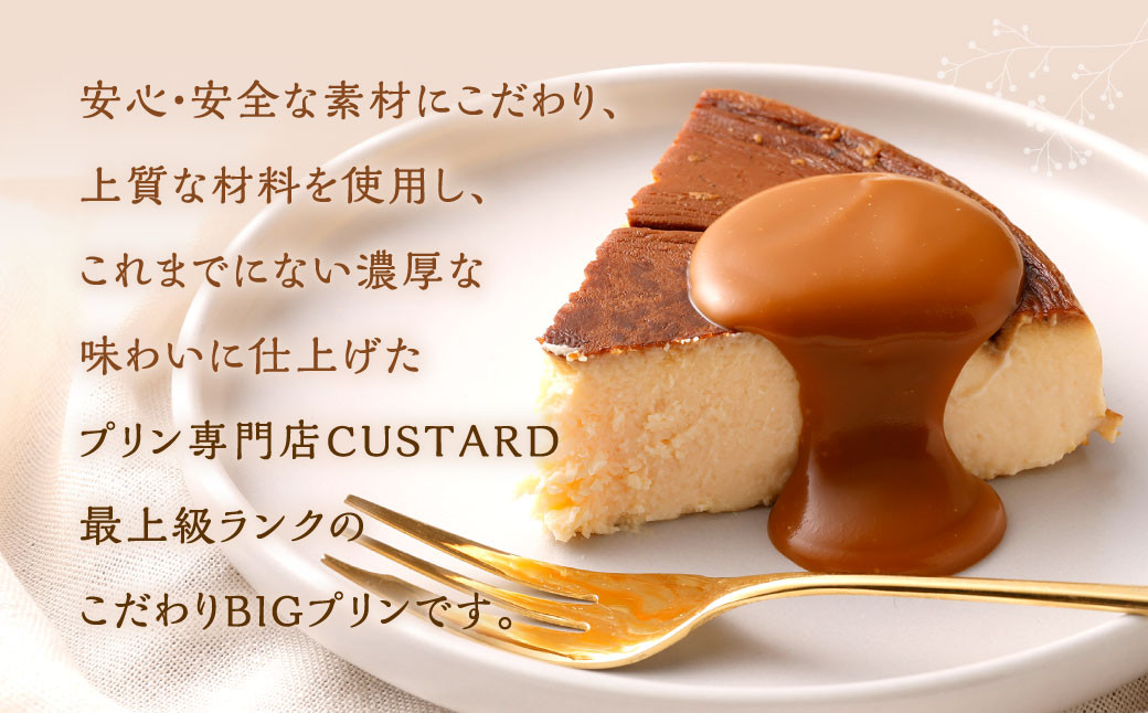極濃厚 ビッグ プリン 【 12cmホールサイズ・あとがけ塩生キャラメルソース付 】