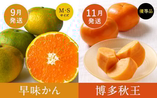 【福岡県産 特産品 年6回定期便】うまもぐ厳選 野菜果物セットDX