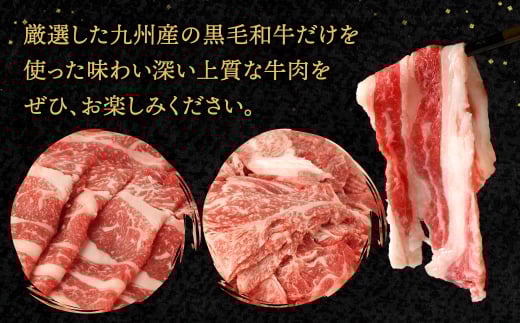 九州産 黒毛和牛 切り落とし 600g (300g×2パック)【2025年9月発送】お肉 牛肉 国産牛 和牛 冷凍 小分け