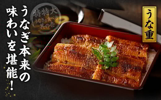 九州産 うなぎ蒲焼 特特大2尾 (1尾あたり250～266g)