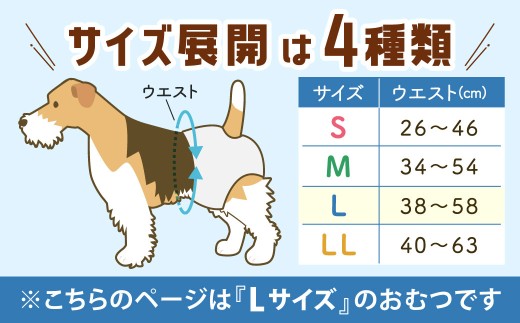 うんぽパンツ Lサイズ 55個入り
