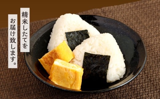 【令和7年度 新米 先行予約】 精米 食味鑑定士厳選 【6ヶ月定期便】 夢つくし 15kg×6回 計90kg お米 米 こめ コメ 白米 福岡県 北九州市