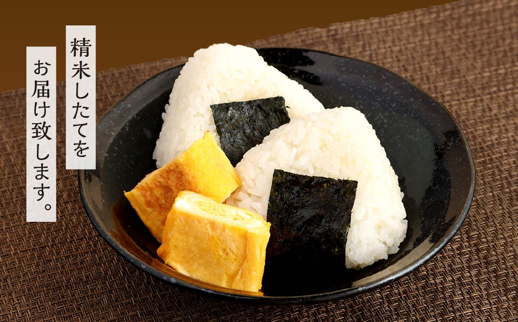 【令和4年産】夢つくし 30kg (5kg×6袋) 精米 お米 米