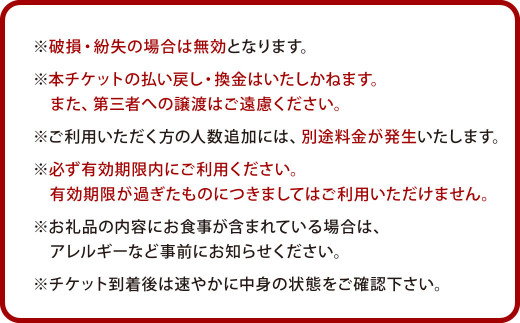 ヴィーナストラベル 旅行商品クーポン券 15000円