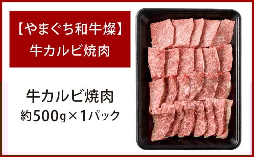 【やまぐち和牛燦】 牛カルビ焼肉 約500g