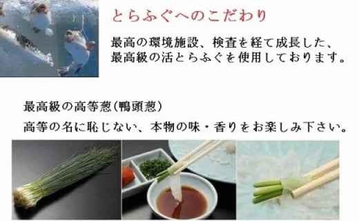 【指定日必須】本場関門とらふぐ刺身セット(2～3人前)ふく一