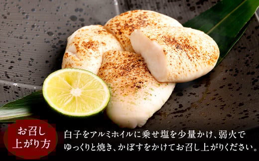 【指定日必須】本場関門とらふぐ白子(2～3人前)ふく一