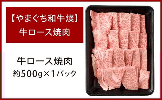 【やまぐち和牛燦】 牛ロース焼肉 約500g