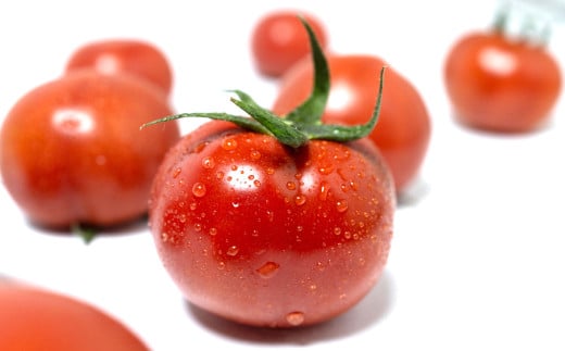 福岡県北九州市若松区産 若松濃縮トマト 約3.6kg 【1.2kg箱（15玉～30玉入り）×3箱】