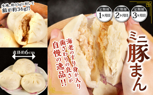 小倉老舗 揚子江 【定期便3ヵ月】 ～揚子江の味めぐり～ 豚まん ミニ豚まん あんまん 台湾ちまき ギョウザ シューマイ 豚足 中華 点心 中華まん 肉まん 定期便 3回