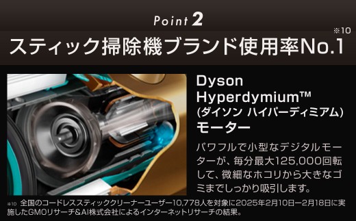 Dyson V12 Detect Slim Fluffy