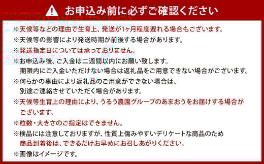 うるう農園 デラックス あまおう 2パック（約570g）