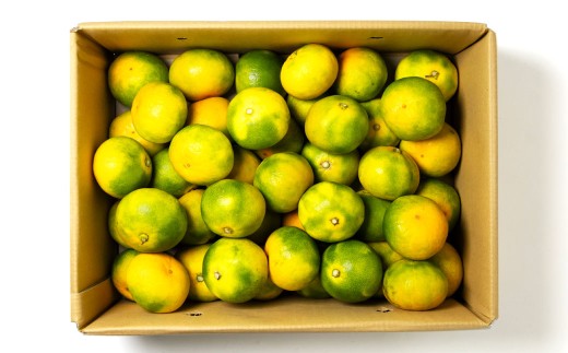 福岡県産 早味かん 約4kg以上 （40玉～50玉入り） M・Sサイズ