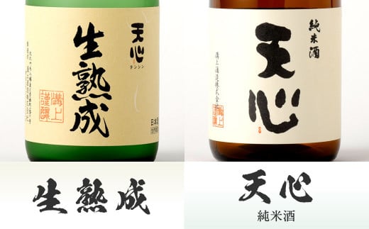 溝上酒造 日本酒 セット (3)（720ml×6本）