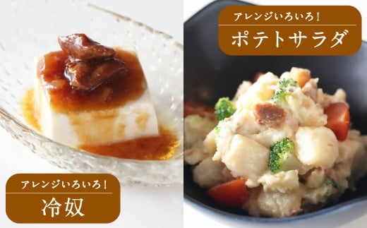 【常温】地どりめしの素 10個（20合）計20合分 鶏肉 鶏飯 混ぜご飯 はかた地どり ご飯 混ぜるだけ 簡単 時短 ごぼう 小分け レトルト