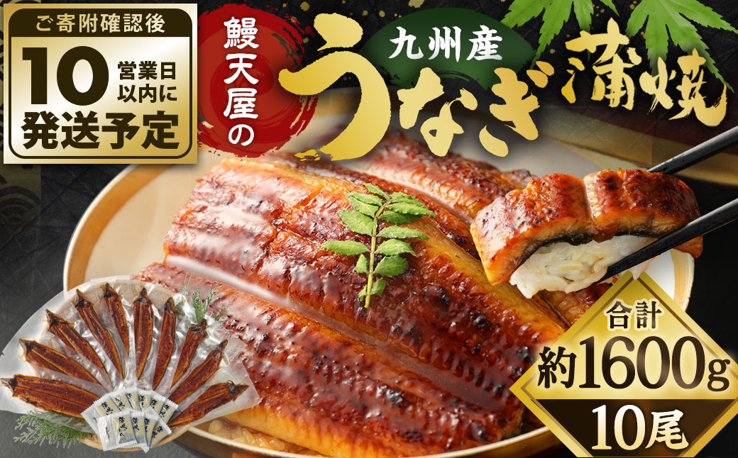 鰻天屋の九州産うなぎ 蒲焼 10尾 セット (1尾あたり160～189g)