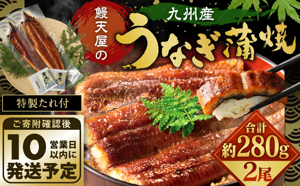 鰻天屋の九州産うなぎ 蒲焼 約140g×2尾 セット