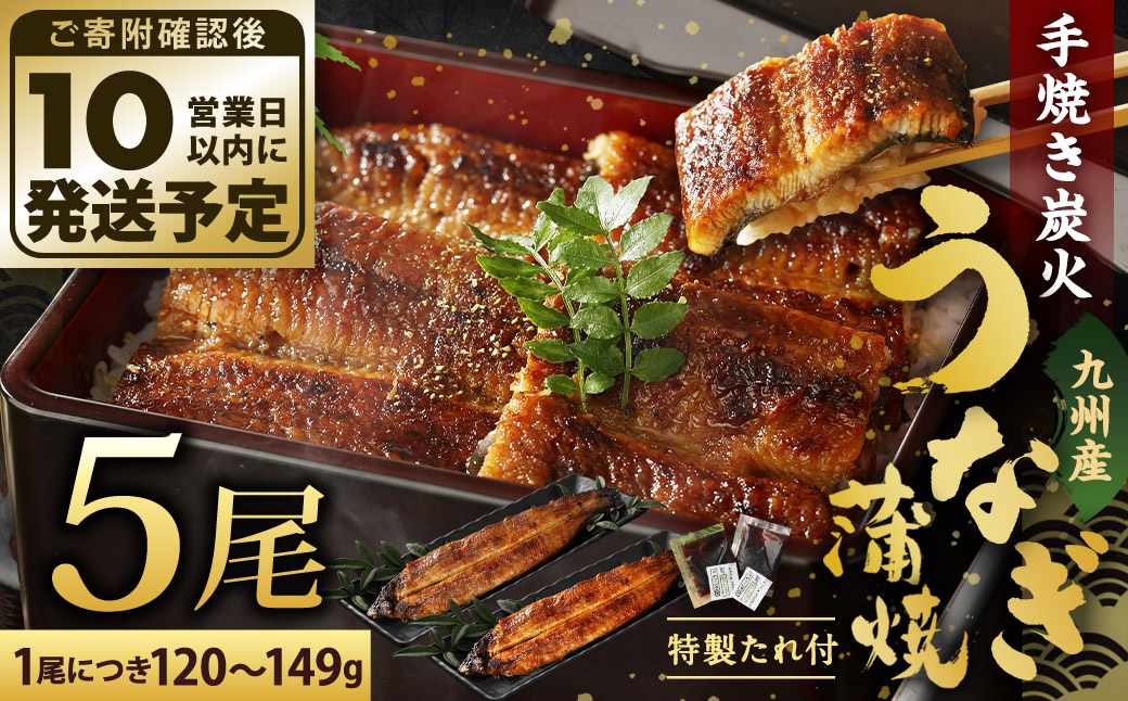 九州産 手焼き 炭火 うなぎ 蒲焼 5尾 計600g以上 (1尾あたり120～149g)