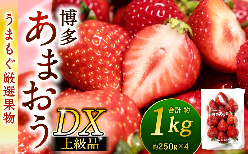 福岡県産特産品 うまもぐ厳選果物 福岡県産 博多あまおう DX上級品 約1kg（約250g×4パック入り）【2026年2月上旬-3月上旬発送】あまおう いちご 苺 イチゴ 果物 フルーツ
