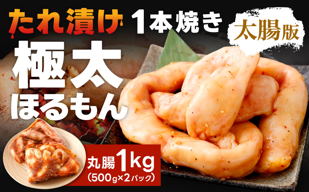 1本焼き たれ漬け 極太 ほるもん 太腸版 新鮮 ホルモン たれ タレ モツ もつ 牛モツ 牛もつ ぷりぷり 旨味 黒毛和牛 丸腸 真空パック 国産 九州産 冷凍
