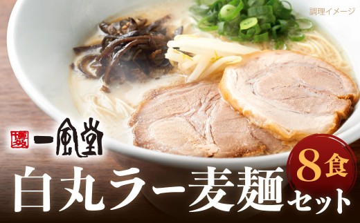 一風堂 白丸 ラー麦麺セット 8食分 スープ付き