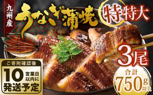 九州産 うなぎ蒲焼 特特大3尾 (1尾あたり250～266g)