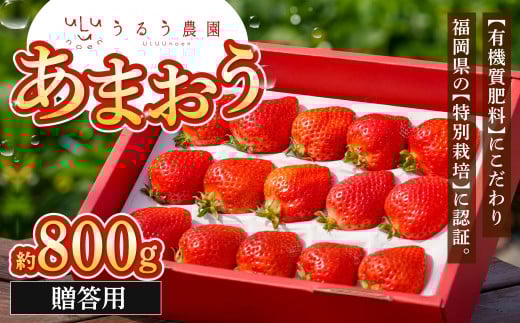 贈答用 あまおう 約800g