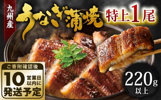 【10営業日発送】 九州産 うなぎ蒲焼 特上 1尾 （220～235g） うなぎ蒲焼き うなぎ 鰻 ウナギ 蒲焼 蒲焼き 特大サイズ 冷凍 福岡県 北九州市